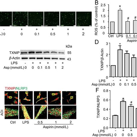 Aspirin Inhibits The Activation Of NLRP3 Inflammasome By Depressed The