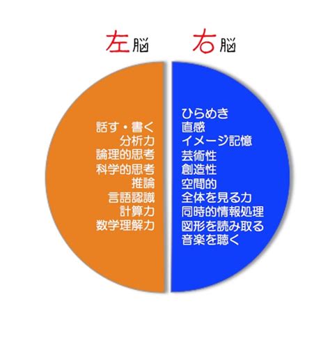 右脳と左脳の違いを意識して生きる 数秘、体癖などの「性格分析」や「スピリチュアル能力」を使った 人生を飛躍させるエッセンス