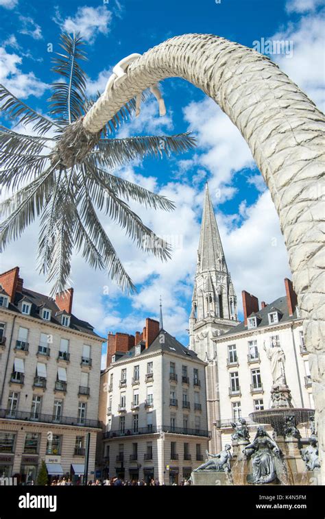 Nantes France Place Royale Hi Res Stock Photography And Images Alamy