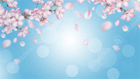 Spring Cherry Blossoms Beautiful Powerpoint Background For Free Download Slidesdocs