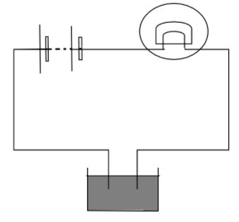 The Bulb Does Not Glow In The Setup Shown In The Given Figure List The