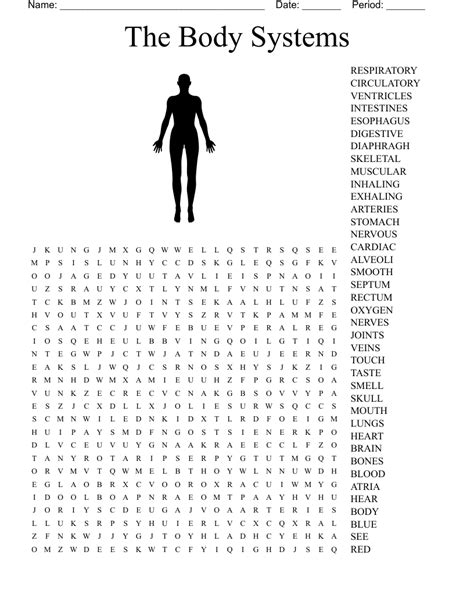 The Body Systems Word Search Wordmint Worksheets Library