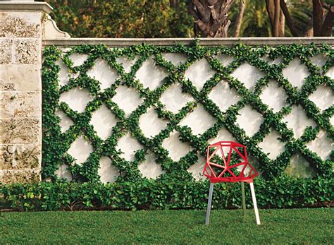 Decorative Garden Trellises Shelly Lighting