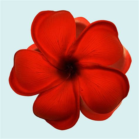 Petits Frangipanier Rouge Sur Pince Pin Tahiti Shop