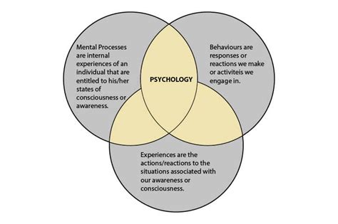 psychology dynamics therapy group