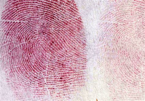 Unveiling Hidden Clues The Science Of Ninhydrin Fingerprint