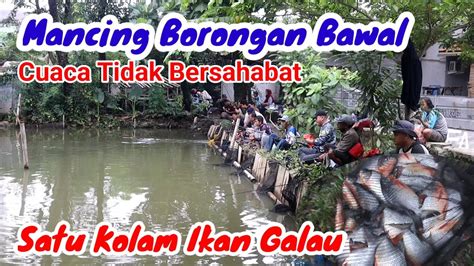 Mancing Borongan Bawal Juta Ikan Galau Tetap Strike Youtube