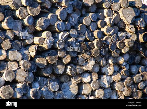 Stacks of firewood logs Stock Photo - Alamy