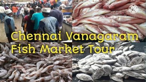 Chennai Vanagaram Meen Fish Market Vlogs Fish Market Vanagaram