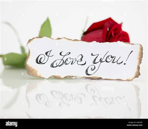 I Love You Rose Hi Res Stock Photography And Images Alamy