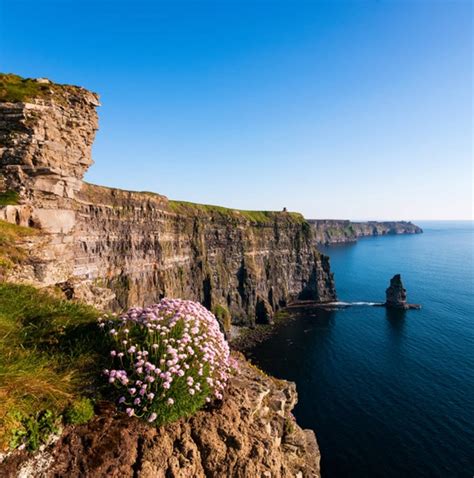 10 Best Coach / Bus Tours in Ireland - Biggest Selection, Best Prices