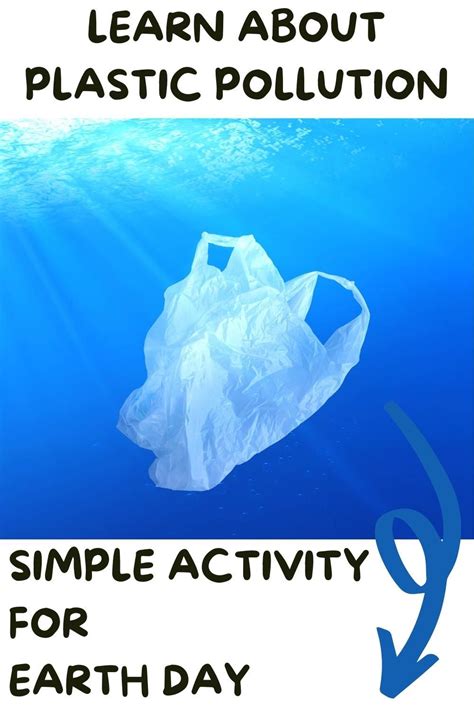 Investigating Human Impact On Ocean Animals Plastic Bags Pollution