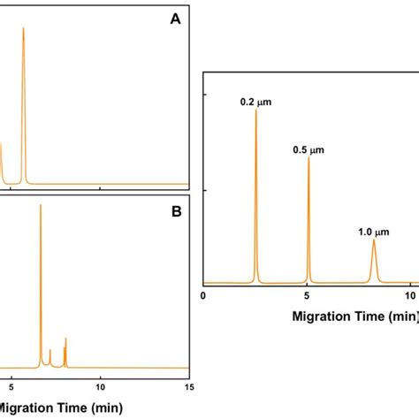 Schematic Representation Of Capillary Electrophoresis Separation Of Two