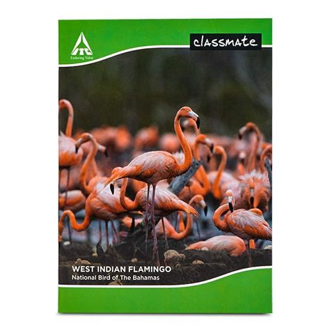 Printed Paper Cover Classmate Single Line Notebook A4 Sheet Size