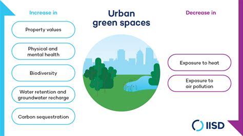 The Value Of Incorporating Nature In Urban Infrastructure Planning