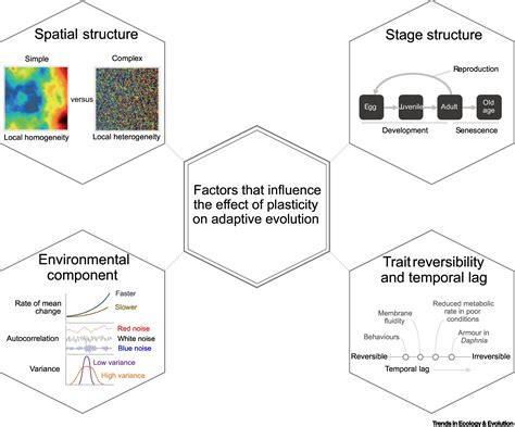 The Importance Of Spatial And Temporal Structure In Determining The