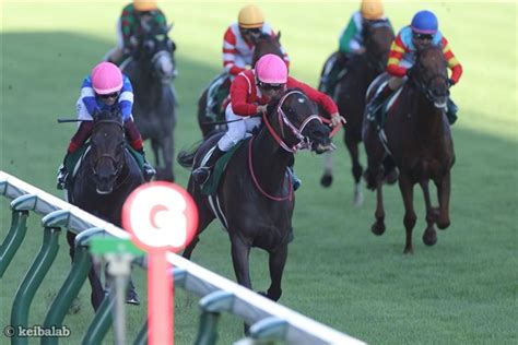 【アイビスサマーダッシュ】今年の真夏の快速王はビリーバー！人馬ともに重賞初制覇を飾る！ 競馬ニュース 競馬ラボ