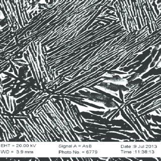 Ti-6Al-4V microstructure – before machining | Download Scientific Diagram