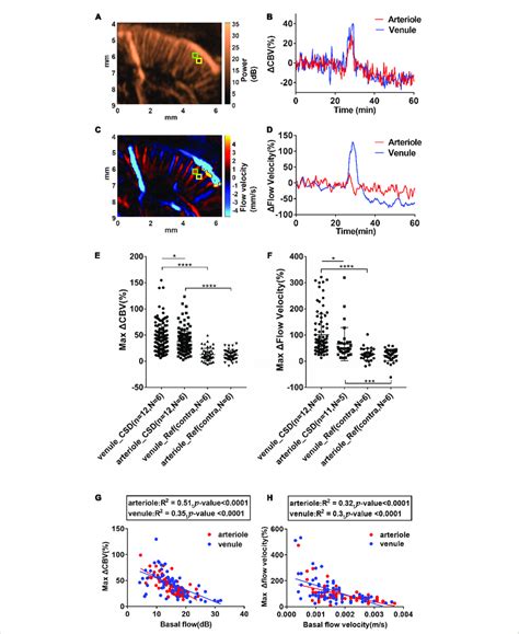 Cortical Spreading Depolarization Induced Cbv And Flow Velocity Changes