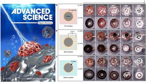 研究發現液態金屬胞吞效應及呼吸獲能現象等類生物學行為 每日頭條