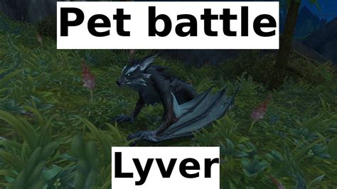 Lyver Pet Battle 2 Pets Only Easy Wow Dragonflight YouTube