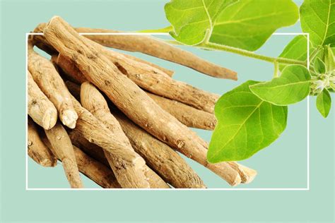 5 Best Ashwagandha Supplements For Stress Relief Life Boost Nutrition