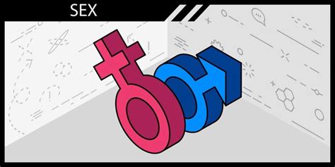 Premium Vector Sex Isometric Design Icon Vector Web Illustration 3d