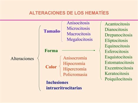 Inclusiones Citoplasmaticas Y Alteraciones Morfologicas PPT