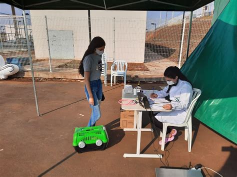 Programa CastraPet esteriliza gratuitamente animais em Guarapuava até