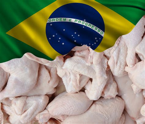 Carne de frango bate recorde de exportação em 2022 aviNews