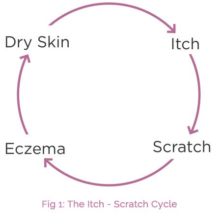 Itch Scratch Cycle | AproDerm