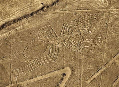 Nazca Lines: 4 Theories You Absolutely Need to Know - Conspiracy Theories