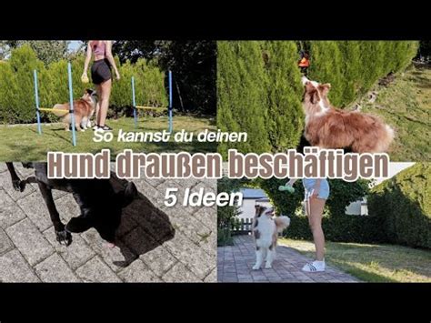 Ideen Wie Du Deinen Hund Besch Ftigen Kannst Hundetraining F R