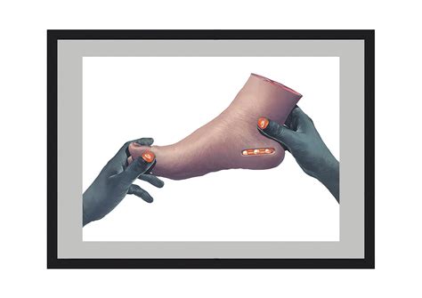 Shoe Behance