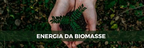 Energia Da Biomasse Come Fonte Di Energia Rinnovabile