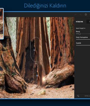 Adobe Lightroom Cc Ndir Cretsiz Ndir Tamindir