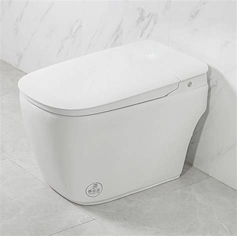 White Electric Tankless Self Cleaner Smart Toilet Automatic China