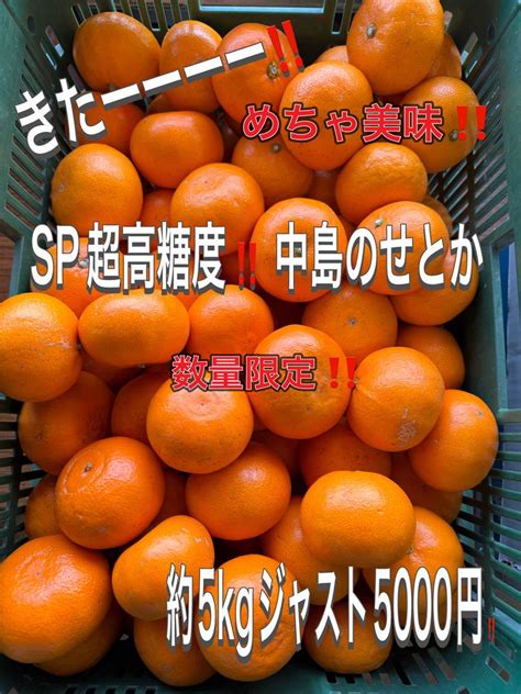 きたーーーーー‼️数量限定‼️sp超高糖度 中島のせとか約5kジャスト5000円8 By メルカリ