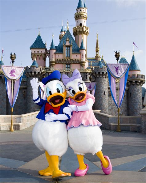 Donald Duck And Daisy Duck Love