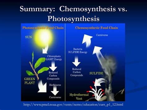 Photosynthesis Vs Chemosynthesis Venn Diagram