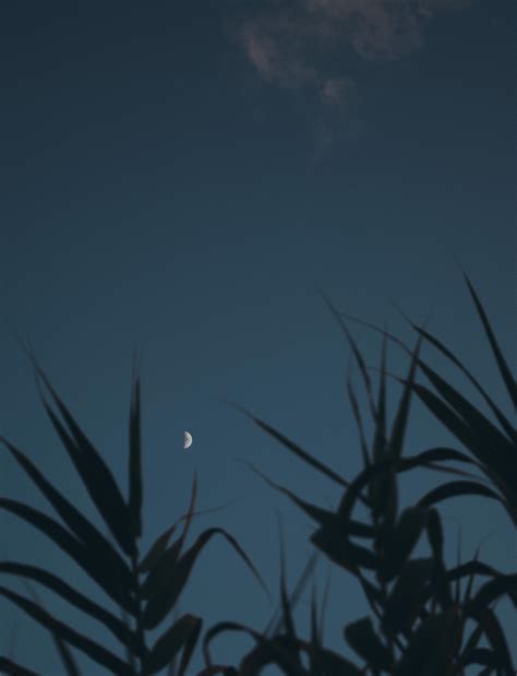 Photo of Crescent Moon · Free Stock Photo