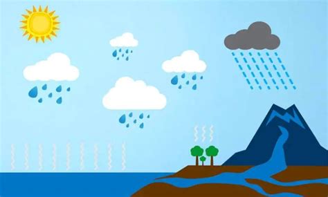 How Rain Is Formed Water Cycle Cloud Rainfall Journalhow