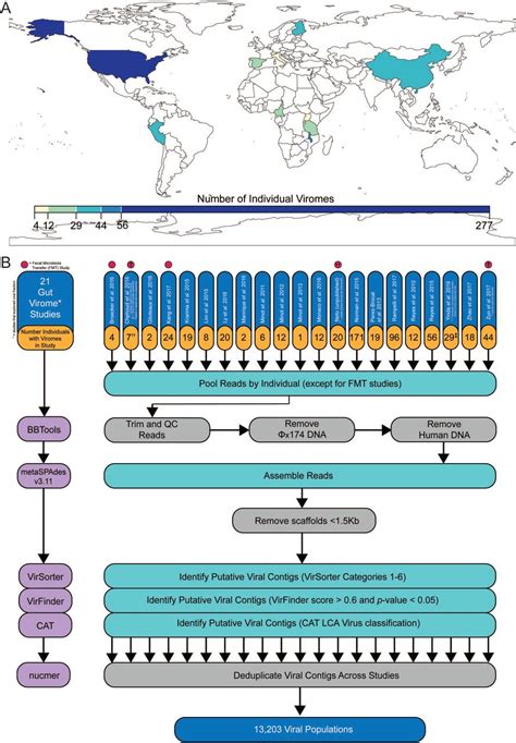 The Human Gut Virome Database BioRxiv