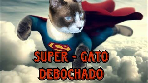 O GATO MAIS DEBOCHADO DO BRASIL COMPILADO DE VIDEOS DO APELUDO YouTube