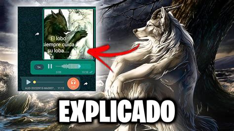 EL LOBO SIEMPRE CUIDA A SU LOBA Explicado YouTube