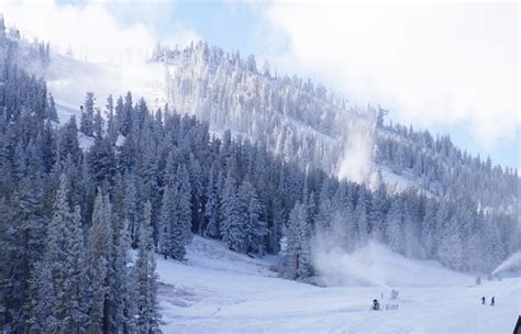 Mt Rose Ski Tahoe Nv Is Now Open Top To Bottom Snowbrains