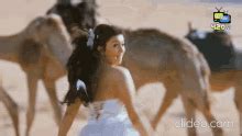 Hansika Hot Hansika Hot Discover Share GIFs