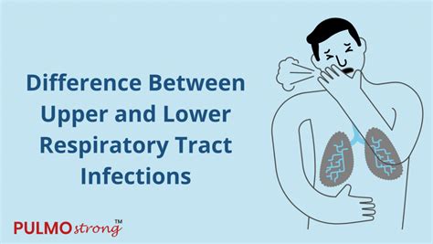 Difference Between Upper And Lower Respiratory Tract Infections Chereso Health