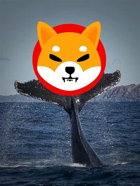 Mysterious Shiba Inu Whale Moves Trillion Shib To Cold Storage