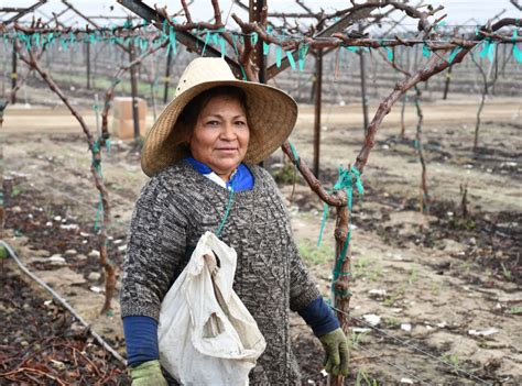 Our Reach California Farmworker Foundation